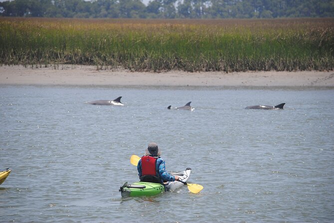 Marsh Kayaking Eco-Tour in Charleston via Small Group - Customer Testimonials