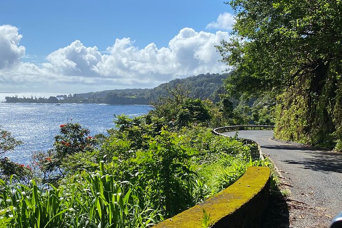 Maui by Storm: Epic Private Luxury Road to Hana Adventure Tour - Common questions