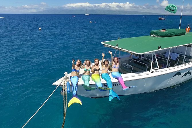 Maui Half-Day Snorkel & Dolphin Tour (Whale-Watching Seasonal) - Seasonal Highlights and Experiences