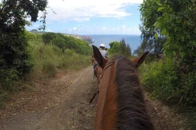 Maui Horseback-Riding Tour - Sum Up