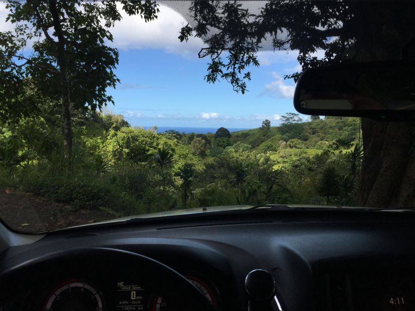 Maui: Private Customizable Road to Hana Tour With Transfer - Experience and Activities