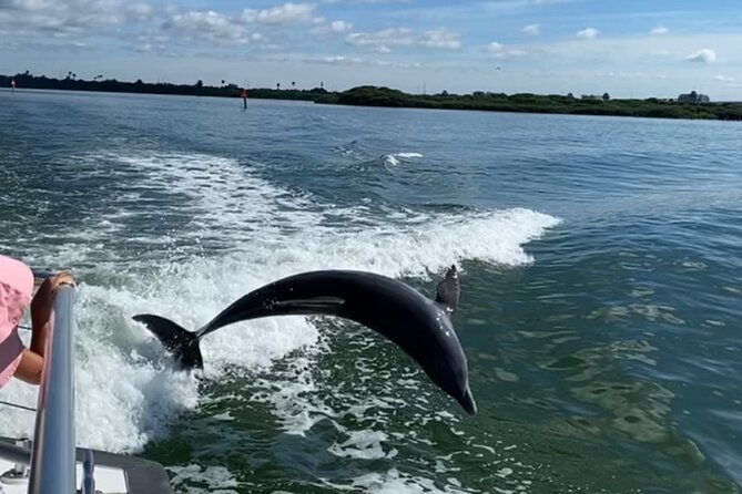 Mega Bite Dolphin Tour Boat in Clearwater Beach - Common questions