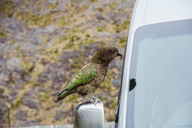 Milford Sound Small Group Tour From Queenstown With Scenic Flight - Sum Up