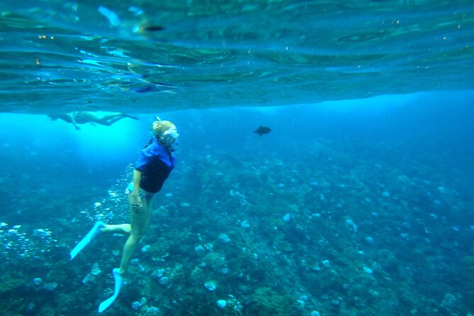 Molokini Half-Day Snorkeling Tour With Lunch and Waterslide  - Maui - Common questions