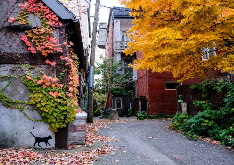 Montreal: Plateau Mont-Royal & Mile End Walking Tour - Experience Highlights