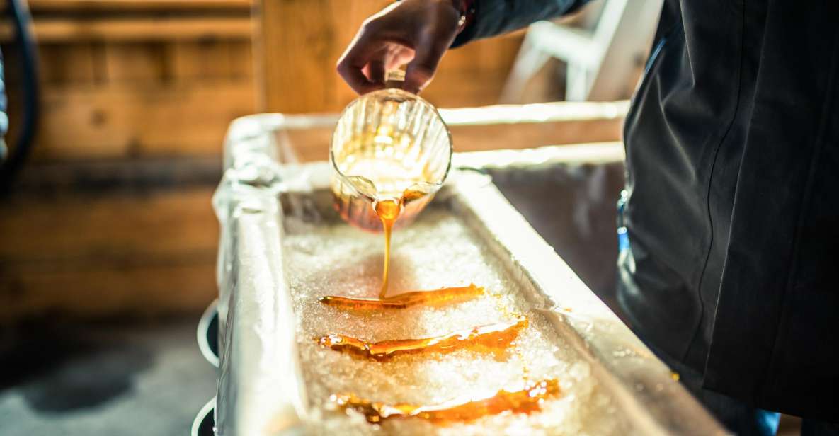 Montreal: Sugar Shack Maple Syrup Day Trip With Lunch - Reviews
