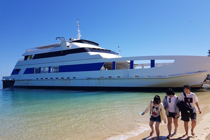 Moreton Island Day Trip (Kayak, Snorkel & Sandboard) Frm Brisbane or Gold Coast - Sum Up