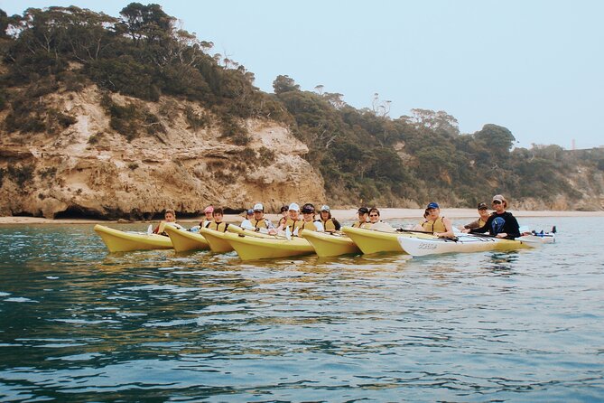 Mornington Peninsula Kayak Coastline Tour of Dolphin Sanctuary - Meeting and Pickup Information