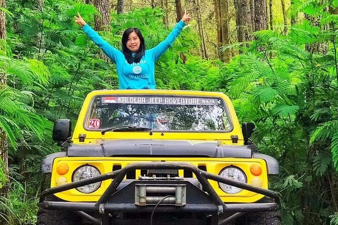 Mount Batur Jeep Tour - Sum Up