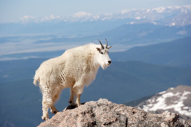 Mount Blue Sky (Mount Evans) Summit & Red Rocks Tour From Denver - Additional Information & Tips