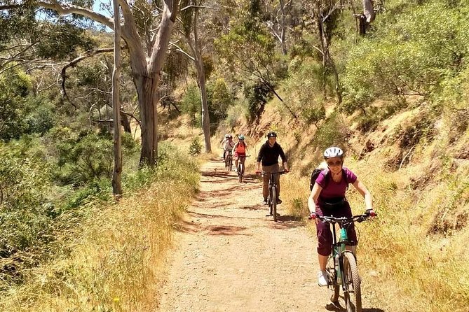 Mount Lofty Descent Bike Tour From Adelaide - Common questions
