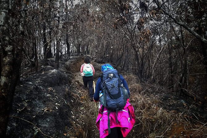 Mount Rinjani Trekking and Reforestation 2 Day Trek - Sustainable Practices