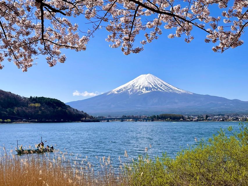 Mt.Fuji Area, 1 Day Private Car Trip(English Guide Tour) - Photo Gallery