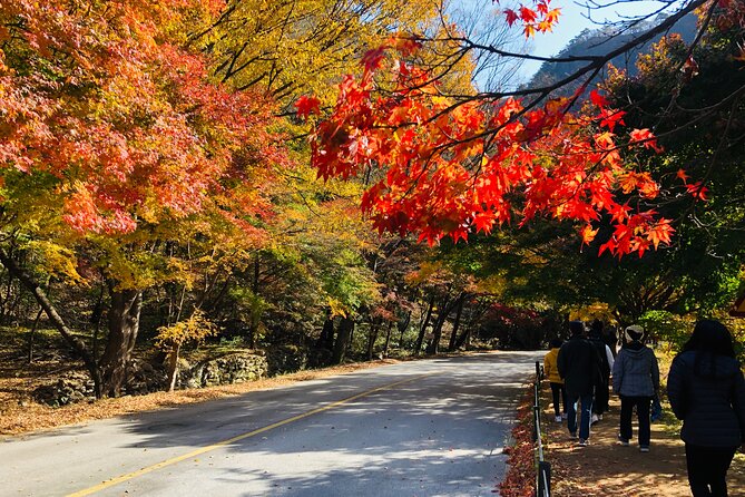 Mt. Naejang Autumn Foliage and Jeonju Hanok Village 1 Day Tour - Understanding Viator Operations