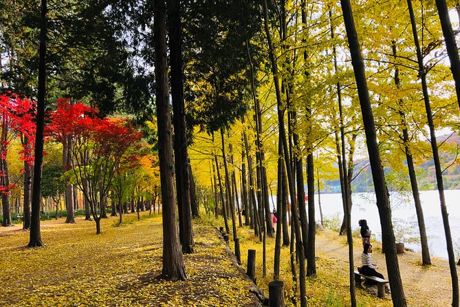 Mt. Seoraknami Islandgarden of Morning Calm Day Trip From Seoul - Common questions