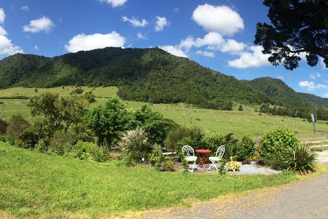 Mt. Te Aroha Bike Hire & Tours - Flora and Fauna Exploration