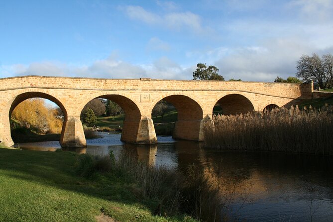 Mt. Wellington, Bonorong and Richmond Day Tour From Hobart - Additional Information and Terms