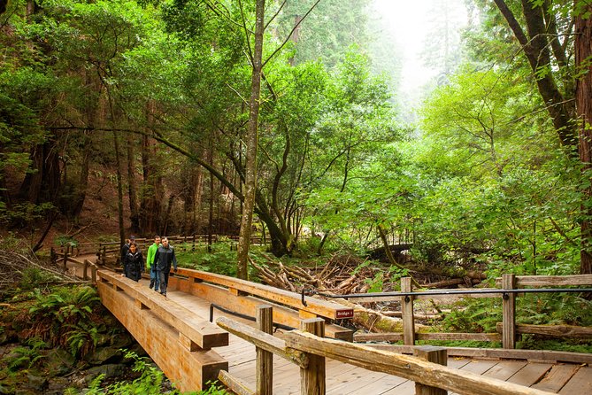 Muir Woods and Sausalito Tour Plus Bay Cruise - Tour Itinerary