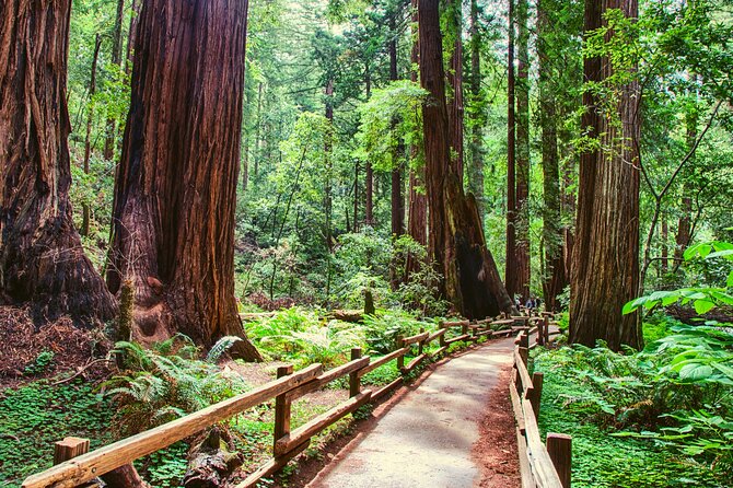 Muir Woods With Napa & Sonoma Wine Tour - Tour Inclusions