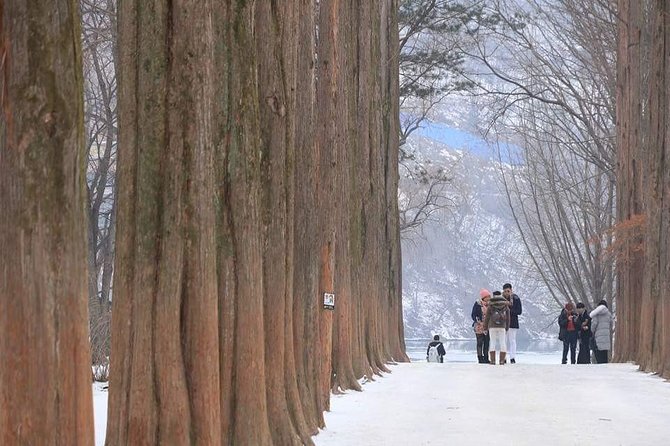 Nami Island and Petite France {Private Day Tour} - Booking Instructions