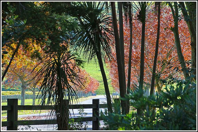 Napier Half-Day Small Group Wine and Beer Tour - Common questions