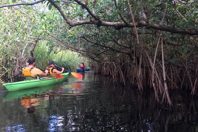 Naples Small-Group Half-Day Everglades Kayak Tour - Common questions