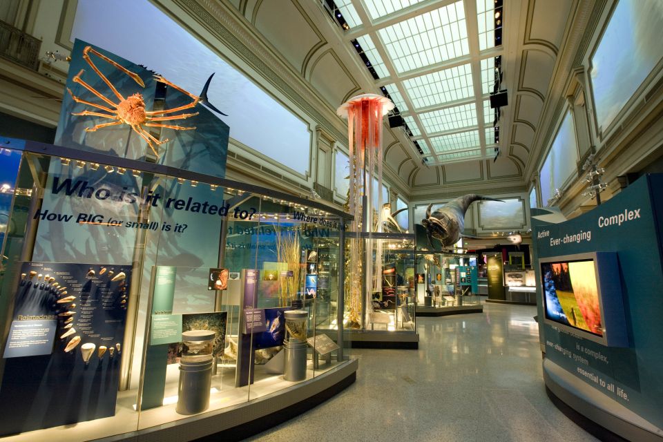 National Museum of Natural History Guided Tour - Sum Up