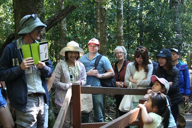 Natural Bridge Glow Worm Night Tour From Gold Coast - Sum Up