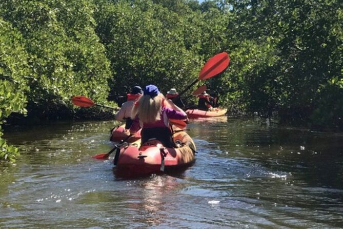 Nauti Exposures - Guided Kayak Tour Through the Mangroves - Common questions