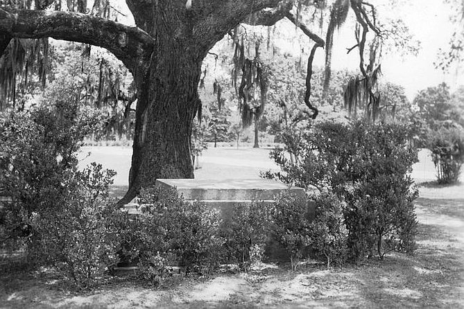 New Orleans Dead of Night Ghosts and Cemetery Bus Tour - Common questions