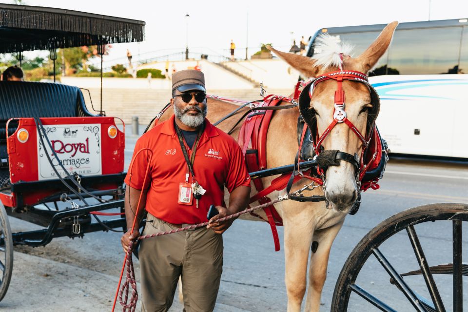 New Orleans: French Quarter Sightseeing Carriage Ride - Common questions