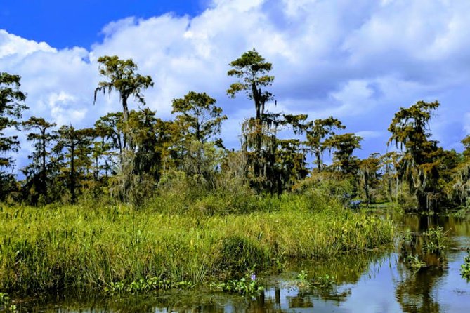 New Orleans Large Airboat Swamp Tour - Operators Service Excellence