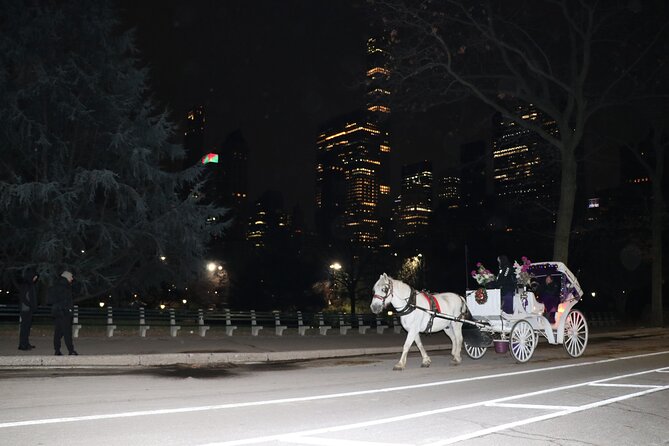 New York City: Central Park Private Horse-and-Carriage Tour - Customer Reviews