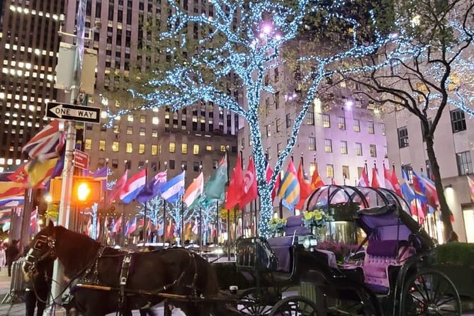 New York City Christmas Lights Private Horse Carriage Ride - Winter Blankets and Comfort