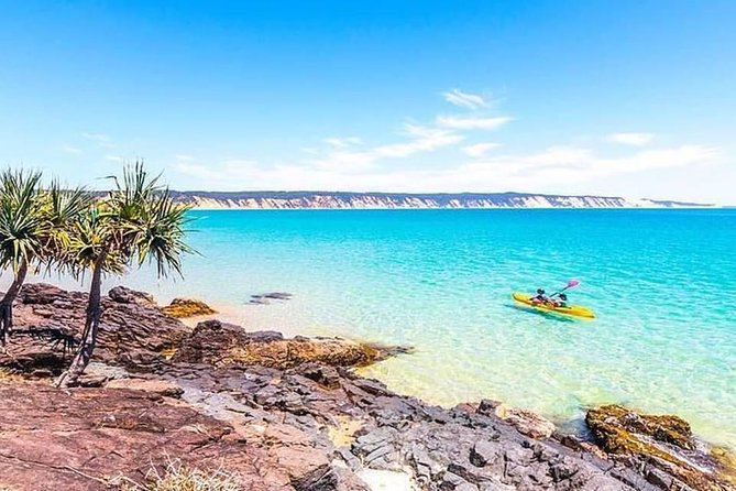 Noosa to Double Island Point Kayaking With Dolphins Day Trip  - Noosa & Sunshine Coast - Tour Highlights and Guide Appreciation