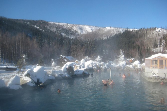 Northern Lights and Chena Hot Springs Tour From Fairbanks - Tour Activities