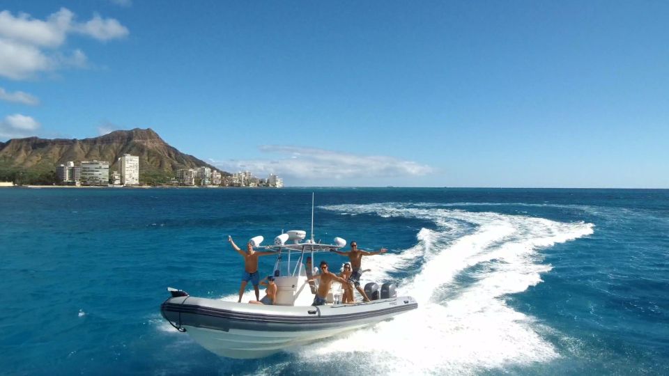 Oahu: Waikiki Private Snorkeling and Wildlife Boat Tour - Expert Guided Wildlife Sightings