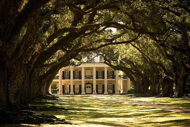 Oak Alley Plantation and Large Airboat Swamp Tour From New Orleans - Logistics and Transportation