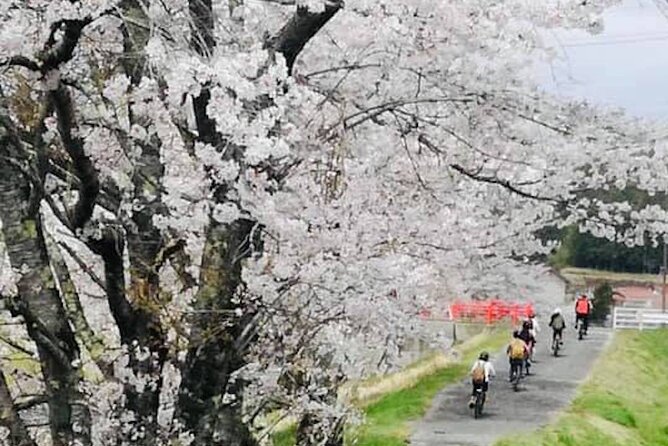 Oasa Country Cycling (Easy Access From Hiroshima 1 Hr Scenic Bus) - Directions to Meeting Point
