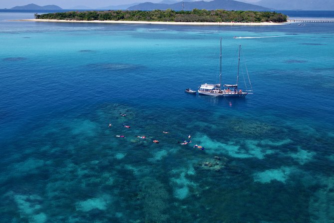 Ocean Free Green Island and Great Barrier Reef Snorkel Cruise - Customer Reviews