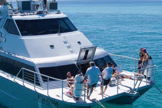 Ocean Freedom Great Barrier Reef Luxury Snorkel and Dive Cruise - Common questions