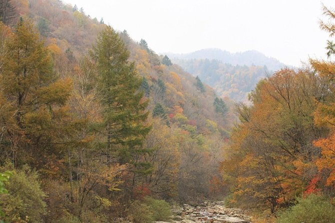 Odaesan National Park Hiking Day Tour: Explore Autumn Foliage Korea - Contact and Support Information