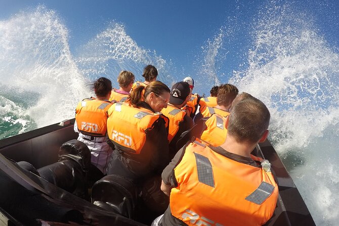 One Hour Noosa Thriller Powerful Jet Boat Tour  - Noosa & Sunshine Coast - Experience and Enjoyment