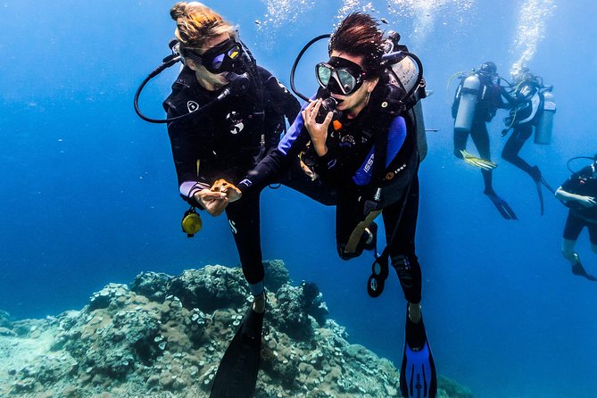 Open Water Course in Nusa Lembongan - Get Certified on Remote Island (Next Bali) - Benefits of Certification