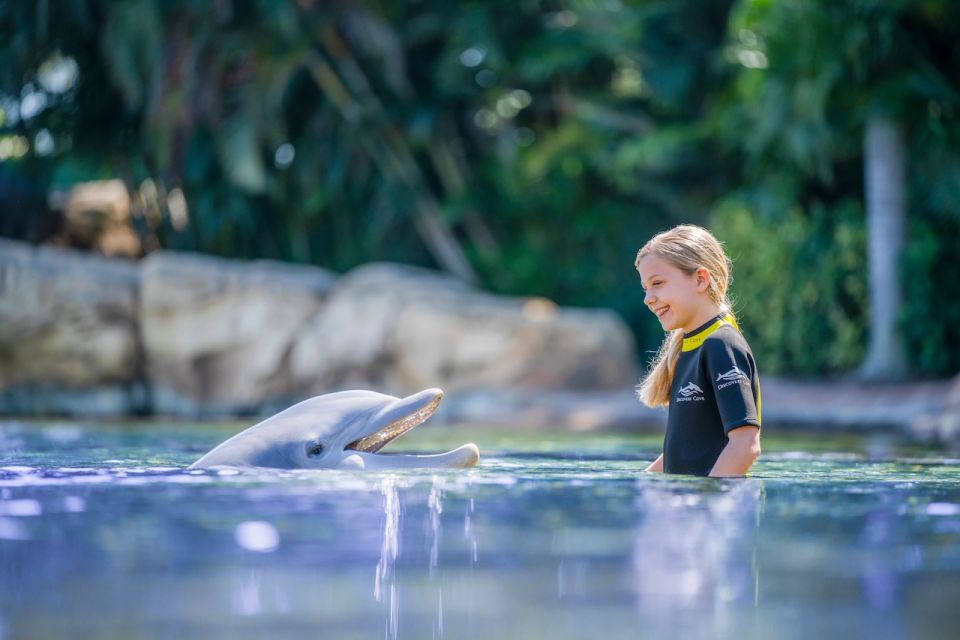 Orlando: Discovery Cove Admission Ticket & Additional Parks - Sum Up
