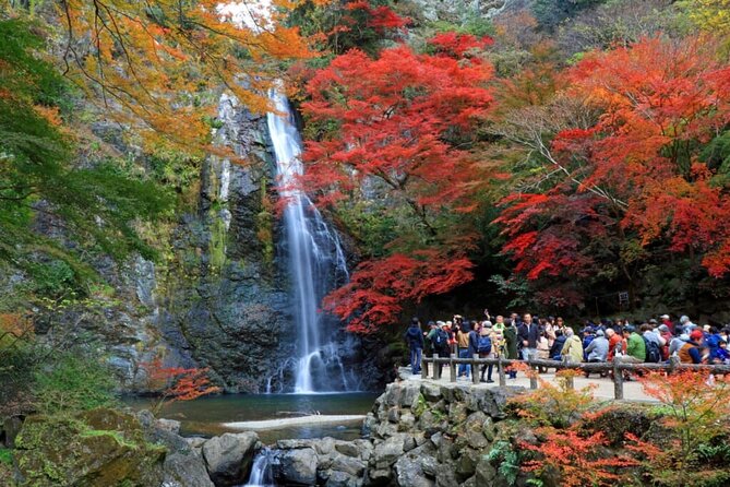 Osaka Nature Walking Tour - Minoh Hidden Beauty - Sum Up