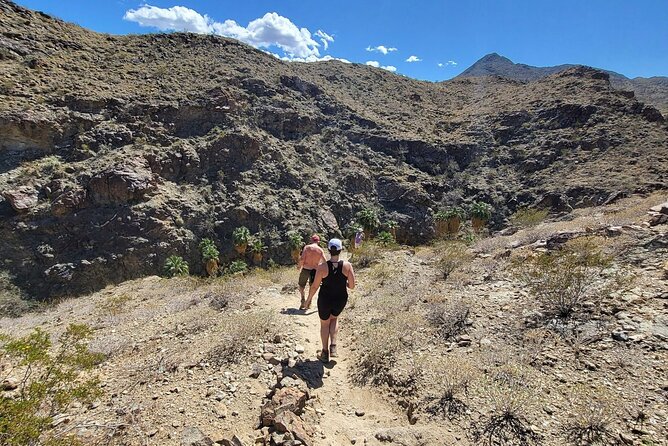 Palm Springs Hike to an Oasis and Amazing Desert Views - Tips for a Memorable Hiking Experience