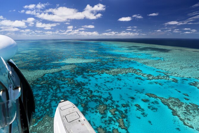 Panorama: the Ultimate Seaplane Tour - Great Barrier Reef & Whitehaven Beach - Common questions