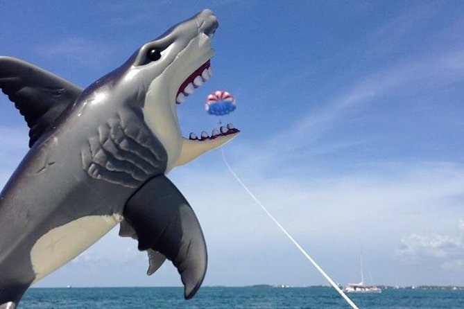 Parasailing Over the Historic Key West Seaport - Safety Guidelines and Health Recommendations