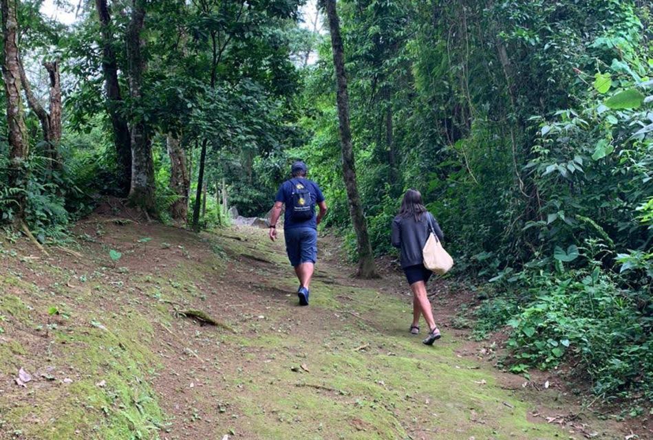 Paraty: Gold Trail Rainforest Hiking Tour - Customer Review